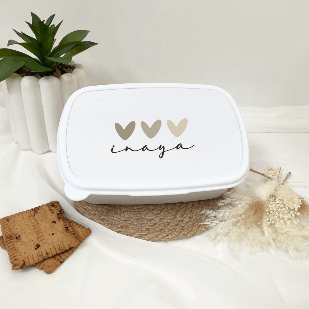 lunchbox sortie scolaire, goûter centre aéré, boîte à repas voyage, pique nique