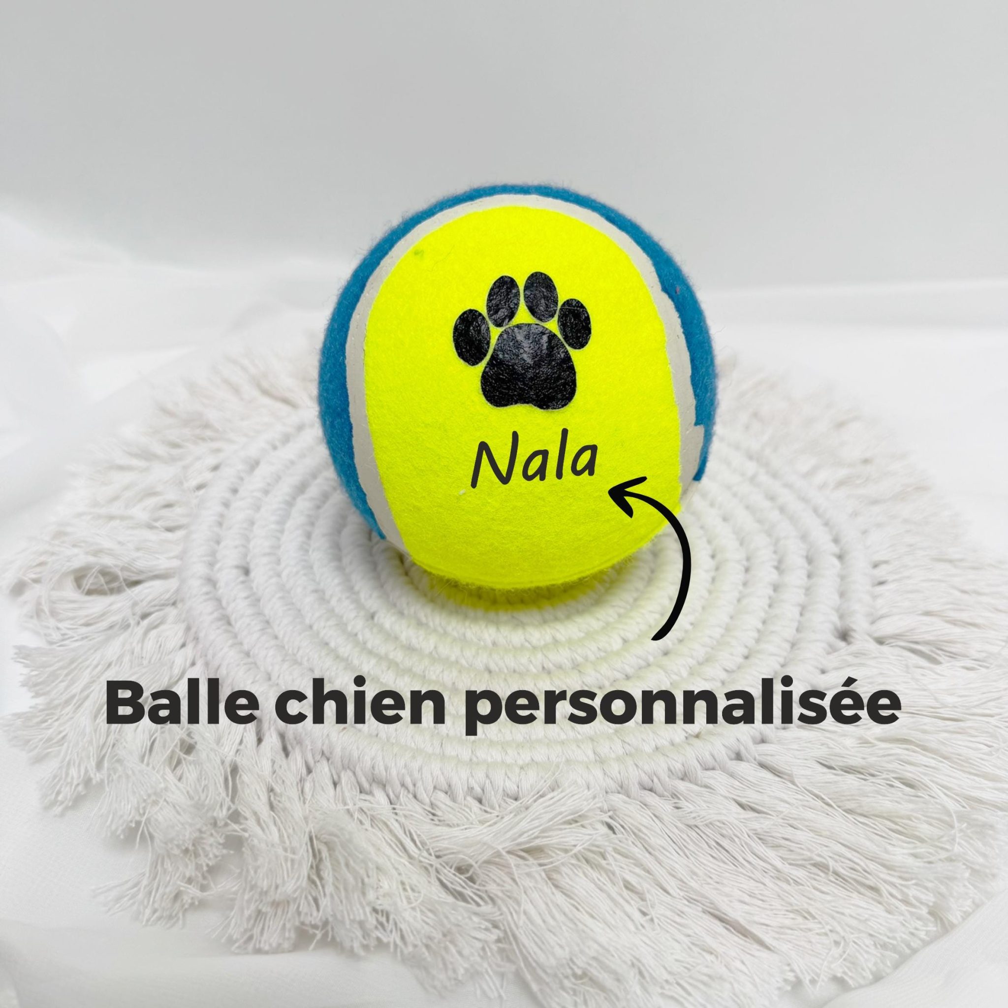 Balle personnalisée chien nom